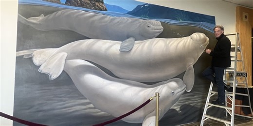 Life-sized Cook Inlet beluga whale painting raises awareness for the endangered species