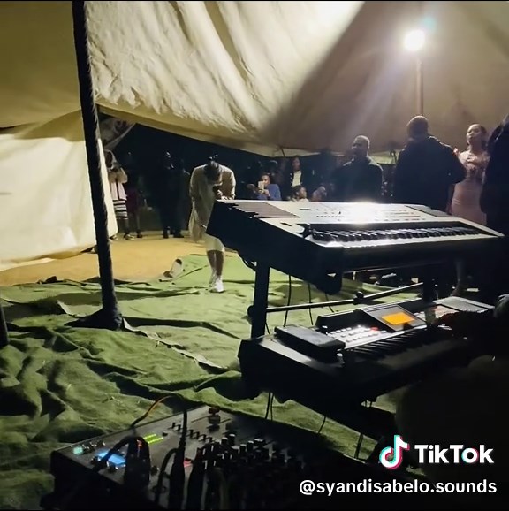 Springbok Highlights: A Tribute to Team Spirit