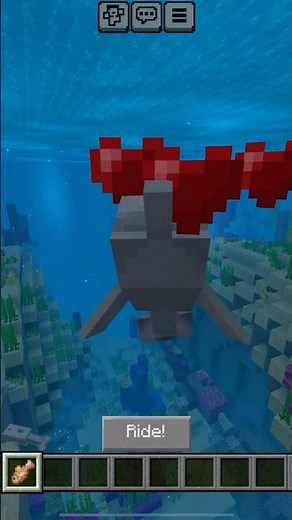 How to tame dolphins in Minecraft 🐬😎💖