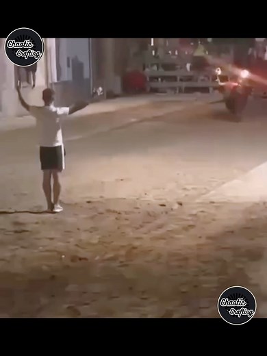 Watch the most shocking and unbelievable animal moments caught live on camera! This compilation features unexpected wildlife encounters, surprising reactions, close calls, dramatic moments, and real-life animal behavior that will leave you speechless. From wild animals in nature to pets behaving unpredictably, these clips reveal how surprising and powerful the animal world can be. If you love animal videos, wild encounters, shocking moments, and unbelievable real-life footage, this is the perfec