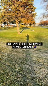 Freezinh Cold! Goodmorning from Napier New Zealand 🇳🇿✨❤️ | The Pinoy Traveller in New Zealand
