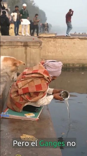Discover Interesting Facts About the Ganges River - India #curiosities #nature #viralshort #didyo...