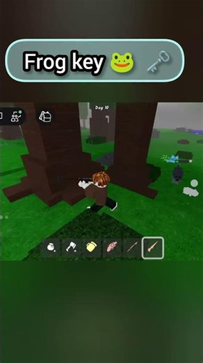 frog key 🐸🗝️ #99nightintheforest