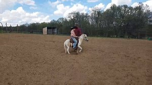Pony with a Bucking Problem - by Deanna Evans | Working Ranch Magazine