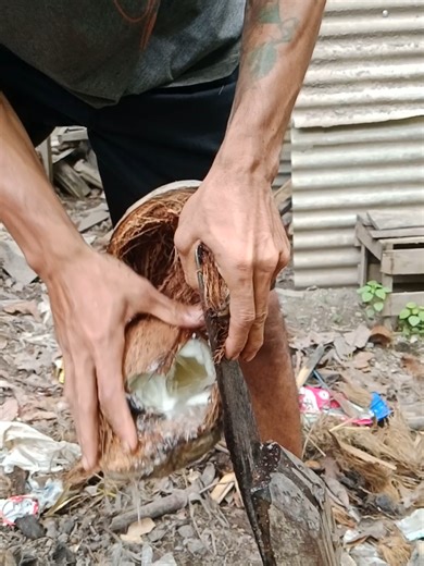 Traditional Coconut Shell Peeling Techniques Revealed