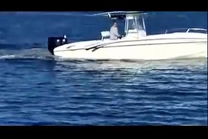 Used 1996 Fountain 31 Tournament Edition, 36561 Orange Beach - Boat Trader