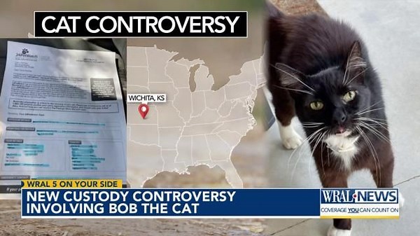 Bob the cat: Custody battle continues between original owner in Kansas and new caregiver