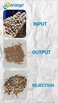 Peanut Sorting Machine Demo Video | Orange Sorting Coimbatore | Smart Peanut Grading Solution