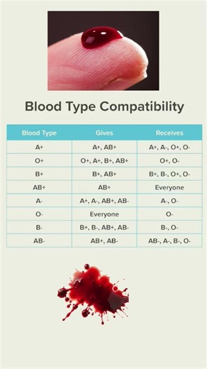 Types blood compatibility ( Donor and recipient #blood #biology #laboratory