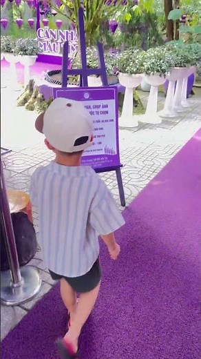 Thăm can nha mau tim