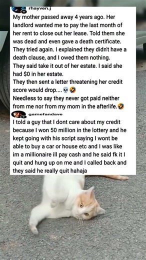 customer service vs reality, round 1000 😭