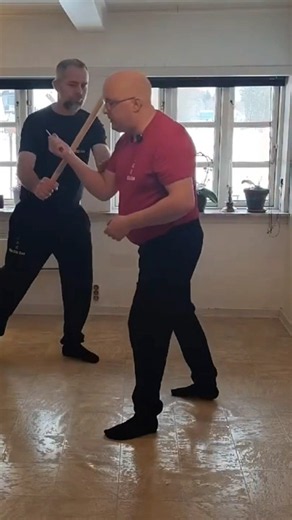 Stick Defense vs Knife: Lethal or Non-Lethal Choice? #selfdefense #martialarts