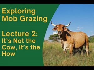 Exploring mob grazing: It is not the cow, it's the how