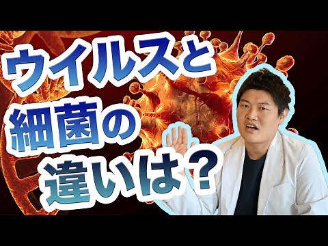 ウイルスと細菌の違いは？ウイルスの構造｜ドクターメイト皮膚科医 青柳直樹