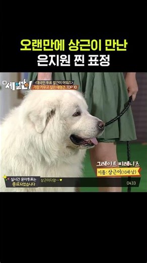 Eun Ji-won recognizes Sang-geun from 1 Night 2 Days #ThreeIdiots