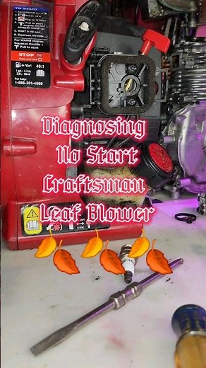 Craftsman Leaf Blower No Start Diagnostics