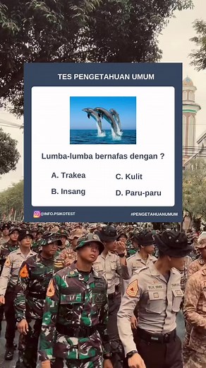 Info.psikotes on TikTok