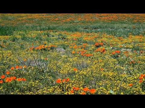 LIVE From Omega Studios / what does 2026 hold for everyone #thefutureawaits #future #thefuture