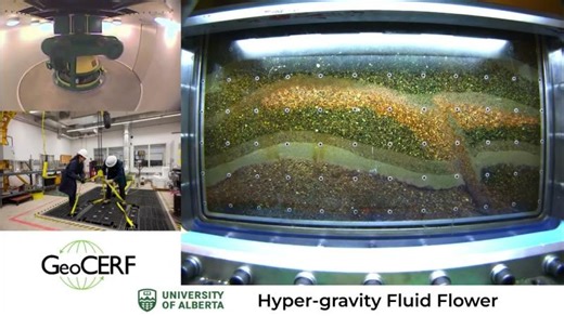 Hypergravity FluidFlowerSERG RGRG | Mahsa Shafaei Bajestani