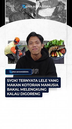 Makan Lele: Pengalaman dan Tips dari Zona Mahasiswa