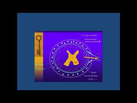 Généralités en anesthésie. Déroulement d'une anesthésie générale