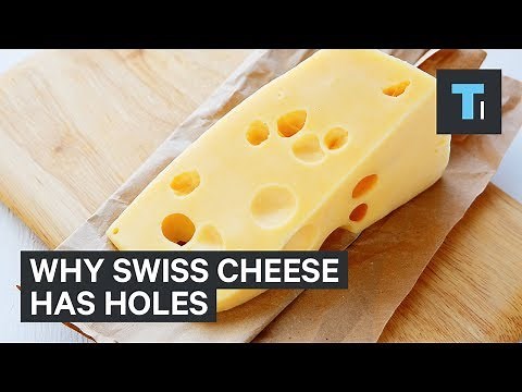 Why Swiss Cheese Has Mysterious, Giant Holes