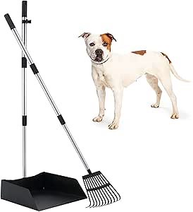BINGPET Upgraded Dog Poop Tray and Rake Set, Long Extendable Handle Dog Pooper Scooper, Quality Sturdy and Anti-Rust Clean Tools for Pet Waste, Yard Dirt, Grass