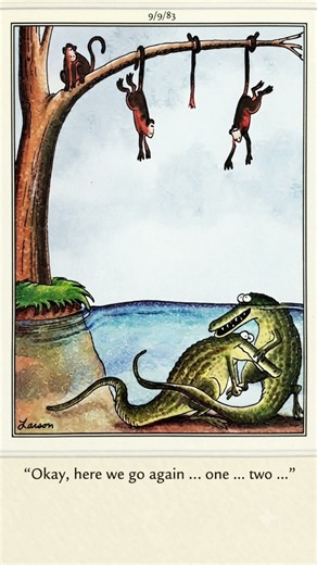 Four Little Monkeys ❓- The Far Side Gary Larson 'C' 1983