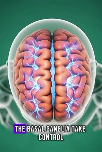 What Habit Formation Does to Your Brain (3D Medical Animation)#3dmedical,#brainhealth,#healthfacts
