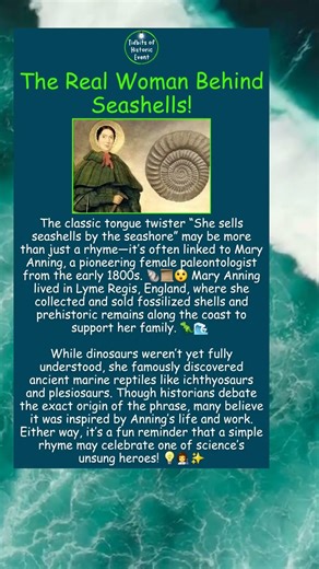 The Real Woman Behind Seashells!