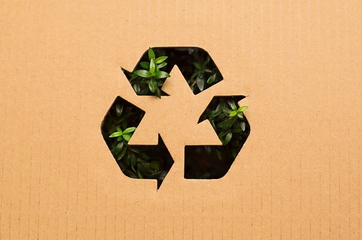What is a Biodegradable Material?