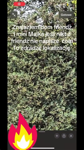 Odkryj Dom Friendz - Lokalizacja i Co Oferuje