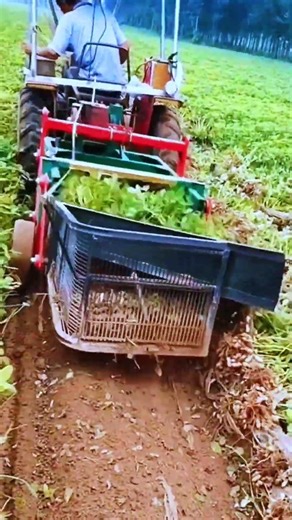 AGRITECH || Mesin pemanen kacang tanah #shorts