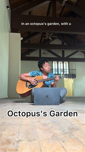 Octopus's Garden #cover #thebeatles #acoustic #acousticguitar #acousticcover