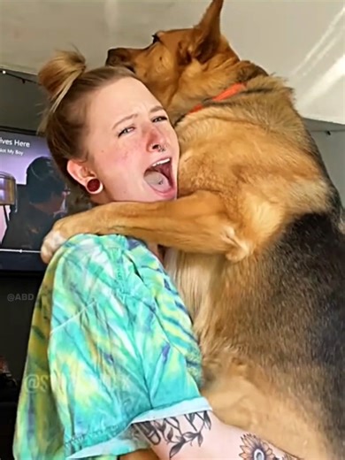 The Girl & Her Dog’s Secret Story Part 2😳🐶❤️ No one knew the secret behind their bond… Watch till the end! 🐶💖✨ #DogStory #SecretStory #GirlAndDog #PetTok #Emotional