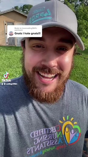 DIY Fruit Fly Trap with Cardboard and Syrup