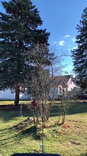 ChickaDDDs (@chickaddds)’s videos with original sound - ChickaDDDs