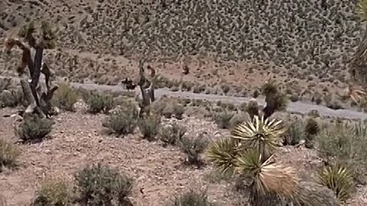 Seven Ways From Sundown (1960) Audie Murphy, Barry Sullivan, Venetia Stevenson