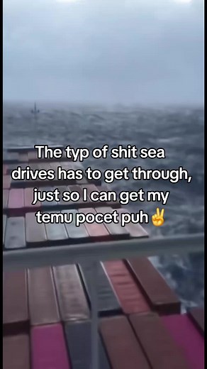 Understanding the Temu Pocket Puh: A Review