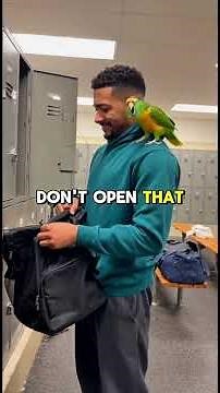 Best of Parrot Rico – The Ultimate Savage Roast Compilation - Part 6