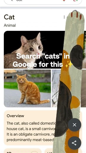 ✨search "cats" in google✨