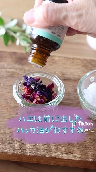 岩塩ハッカ油で夏の虫対策と快適生活