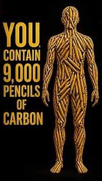 Everything you are made of #humanbody #science #facts
