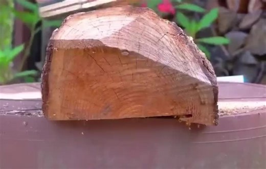 아직도 무거운 엔진톱 쓰세요? 엑시툴 무선 체인톱 하나로 높은 나무까지 정복 (연장대 활용법)