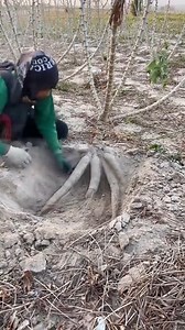 3K views | Amazing inventions and gadgets of 2023 that make your life easier | GODRAj Stars & Events studio | Facebook