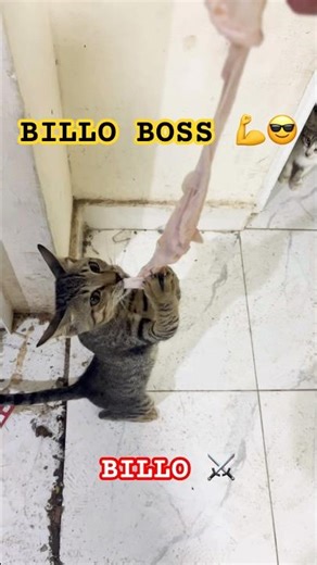 KIDDING WITH BILLLO #ytshorts #shortvideo