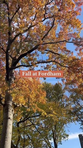 Isn’t it beautiful? #fordham #nyc #fall #fallfoliage #fordhamuniversity