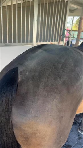 64K views · 1.7K reactions | ✨ Do you know what hot oiling is? ✨ If...