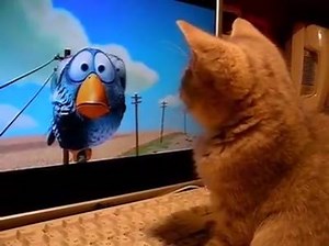 2.5K views · 2K reactions | Trop mignon et drôle en même temps <3 :) | Humour et insolite by Lionel Ley | Facebook