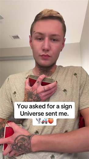 Dalmatian vs German Shepherd: Breed Comparison Insights